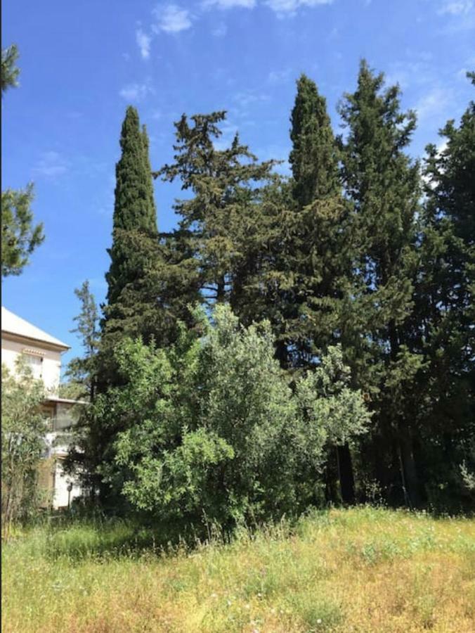 Villa Salomi Lefkáda Exterior foto